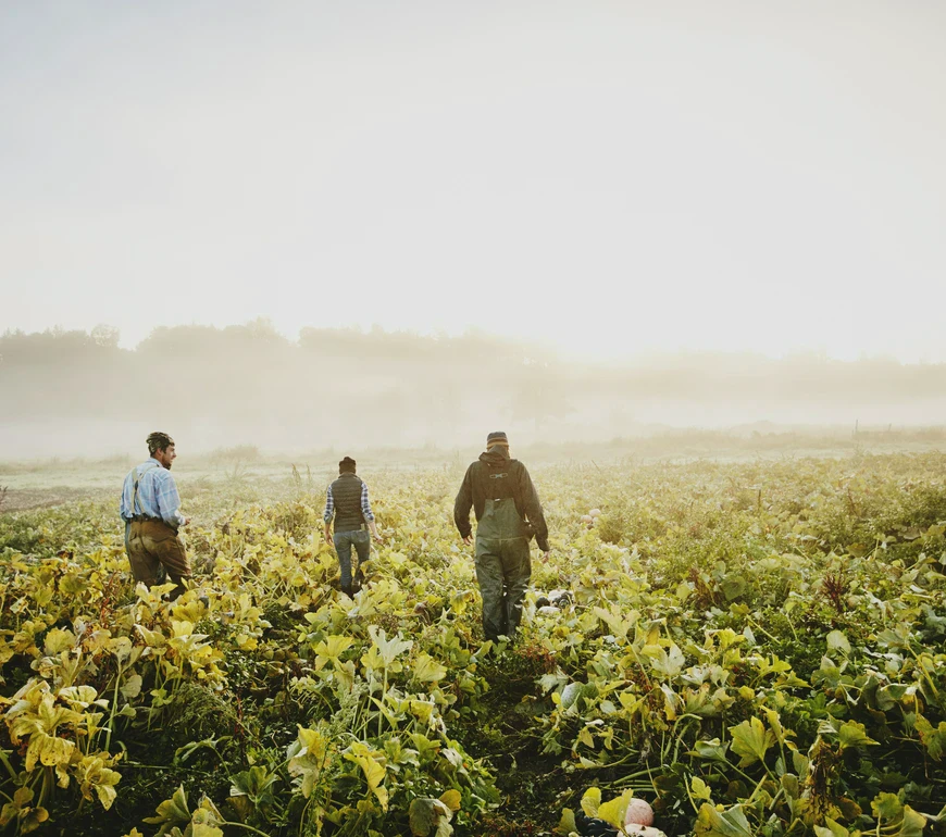 rolnicy na&nbsp;polu